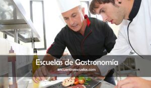 Escuelas de Gastronomía