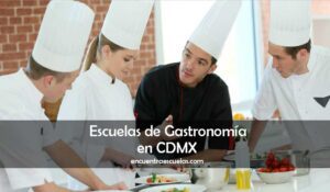 Escuelas de Gastronomía en CDMX