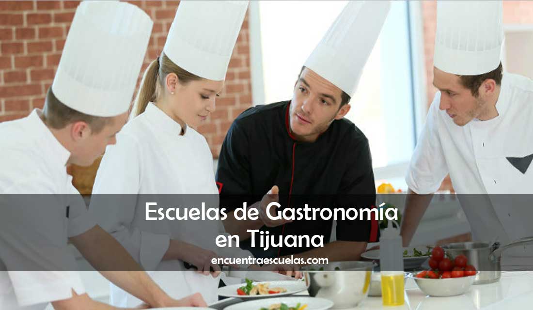 ▷ Mejores Escuelas de Gastronomía en Tijuana 【 2023 】 ✔️