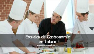 Escuelas de Gastronomía en Toluca